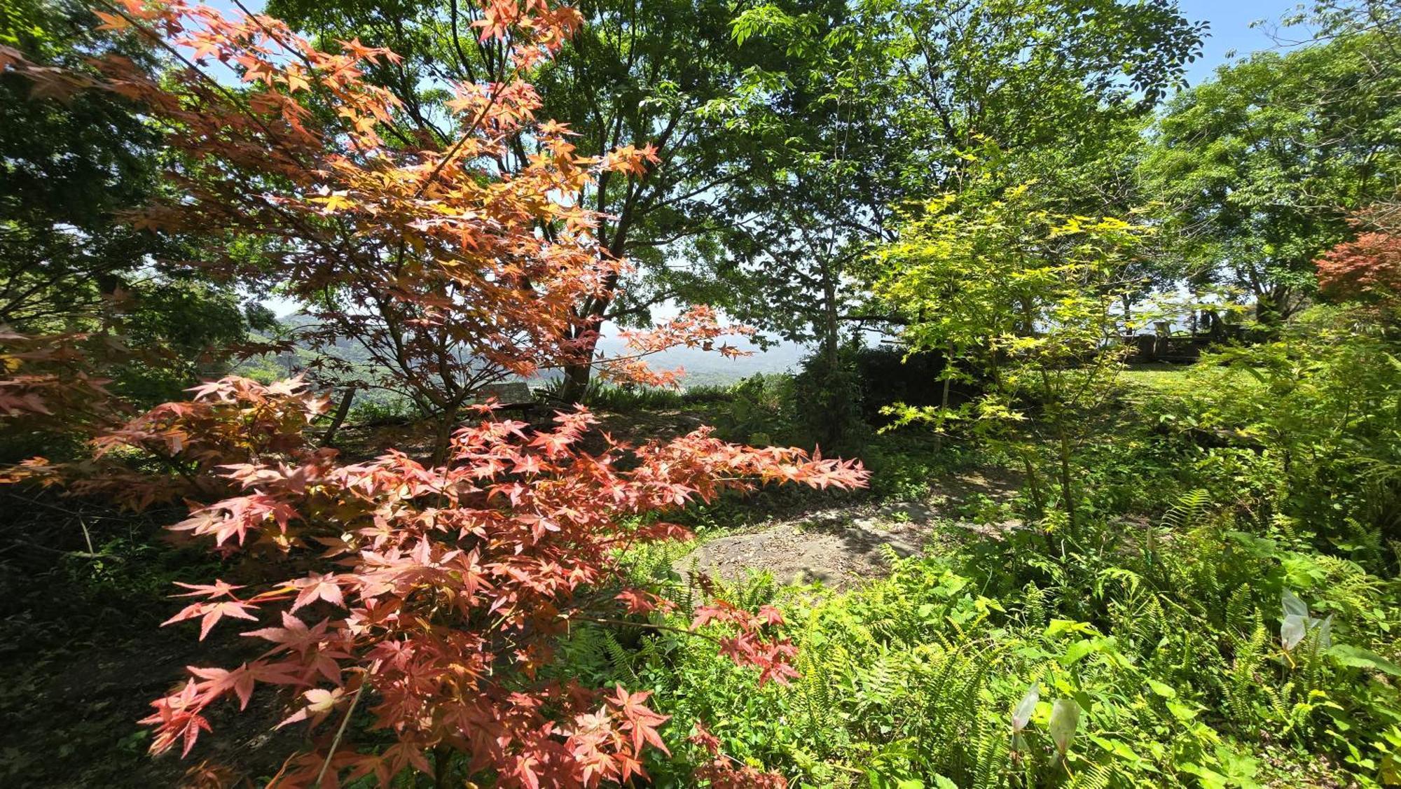 Maple Map B&B 다후 외부 사진